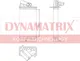 Миниатюра изображения товара Радиатор отопителя Dynamatrix DR73368