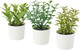 Миниатюра изображения товара Искусственные растения Ikea Фейка 405.084.07 (Травы, 5см, 3шт)