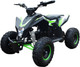 Миниатюра изображения товара Электроквадроцикл Motax Gekkon E1300 (черный/черный/зеленый)