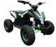 Миниатюра изображения товара Электроквадроцикл Motax Gekkon E1300 (черный/черный/зеленый)