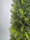 Миниатюра изображения товара Искусственное растение Merry Bear Home Decor Туя Западная Смарагд / KA0029-120 (120см)