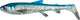 Миниатюра изображения товара Мягкая приманка Savage Gear 3D Whitefish Shad 15см 27г Blue Silver / 1632097 (2шт)