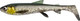 Мягкая приманка Savage Gear 3D Whitefish Shad 15см 27г Green Silver / 1632098 (2шт) — фото 6