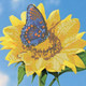 Миниатюра изображения товара Набор алмазной вышивки Centrum 5D Бабочка на подсолнухе / 89747