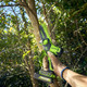 Миниатюра изображения товара Пила цепная аккумуляторная Greenworks GD24CS15 бесщеточная 24V 15см / 2010107 (без АКБ и ЗУ, с автоматической смазкой цепи)