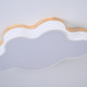 Миниатюра изображения товара Потолочный светильник Imperiumloft CLOUD-ECO01 / 189500-26