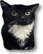 Миниатюра изображения товара Подушка-игрушка Malvina Кот Чмоня мини / 9.439.2
