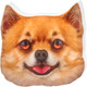 Миниатюра изображения товара Подушка-игрушка Malvina Мордочка Собака Чихуа-хуа / 30.170.5