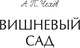 Миниатюра изображения товара Книга МИФ Вишневый сад. Вечные истории (Чехов Антон)