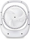 Миниатюра изображения товара Вентилятор Evolution AirLeaf AL-101 (белый)