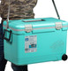 Миниатюра изображения товара Термоконтейнер Shinwa Holiday Land Cooler / HLC-33H-BL (голубой)