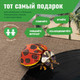 Миниатюра изображения товара Конструктор Makebug Bring Nature Home Божья коровка-арлекин MB-C-0014