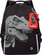 Миниатюра изображения товара Школьный рюкзак Grizzly RB-551-6 (черный)