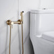Миниатюра изображения товара Гигиенический душ со смесителем Shevanik S107G (золотой сатин)