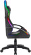 Миниатюра изображения товара Кресло геймерское Defender Factor X RGB / 64045 (черный)