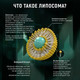 Миниатюра изображения товара Минерал Atech Nutrition Iron Premium Liposomal Железо (60капсул)