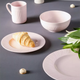 Миниатюра изображения товара Тарелка столовая обеденная Decor de table Рассвет / DDT-4206 (розовый)