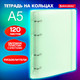 Миниатюра изображения товара Тетрадь Brauberg 404632 (120л, зеленый)