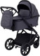 Миниатюра изображения товара Детская универсальная коляска Rant Basic Nexus 3 в 1 / RA107  (графит)