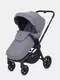 Миниатюра изображения товара Детская прогулочная коляска Rant Flex / RA078 (серый)