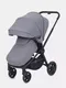 Миниатюра изображения товара Детская прогулочная коляска Rant Flex / RA078 (серый)