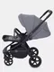 Миниатюра изображения товара Детская прогулочная коляска Rant Flex / RA078 (серый)