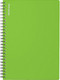 Миниатюра изображения товара Тетрадь Erich Krause Reef / 54138 (80л, лайм)