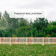 Миниатюра изображения товара Изгородь декоративная GREENGO Линия 45x110 1 секция (дерево)