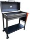 Миниатюра изображения товара Мангал STEEL GRILL Profi BBQ STG-85/4