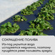 Миниатюра изображения товара Укрывной материал GREENGO Мульчирующий с перфорацией 10x1.6м 80г/м2 с УФ-стабилизатором (черный)