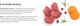 Миниатюра изображения товара Сухой корм для собак Grandorf Puppy All Breeds Fresh Lamb&Sweet Potato (10кг)
