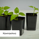 Миниатюра изображения товара Набор горшков для рассады GREENGO 40x19.5см (10шт, микс)