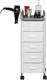 Миниатюра изображения товара Тележка парикмахерская Элеганс Глорис-02 (белый)