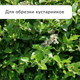 Миниатюра изображения товара Сучкорез механический GREENGO 139651