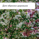 Миниатюра изображения товара Сучкорез механический GREENGO 139651