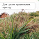 Миниатюра изображения товара Садовые ножницы механические GREENGO 150785
