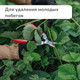 Миниатюра изображения товара Садовые ножницы механические GREENGO 3028457