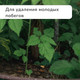Миниатюра изображения товара Секатор механический GREENGO 3028459