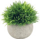 Миниатюра изображения товара Искусственное растение Sundays Home PB07-20 / 6405000718A