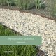 Миниатюра изображения товара Бордюр садовый GREENGO 15см 9м толщина 0.6мм / 4833132 (темно-коричневый)