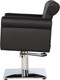 Миниатюра изображения товара Кресло парикмахерское Элеганс Грейс (черный)