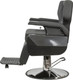 Миниатюра изображения товара Кресло парикмахерское Элеганс Джейсон (черный)