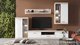 Миниатюра изображения товара Тумба Black Red White Linn Со стеклом 100x60x36 (ясень шимо/белый)