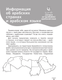 Миниатюра изображения товара Словарь АСТ Арабский язык: визуальный словарь-раскраска, мягкая обложка (Ансонов Денис, Мирзаев Эльдар)