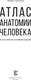 Миниатюра изображения товара Книга АСТ Атлас анатомии человека. Русско-латинско-английское издание (9785171600334 Палычева Любовь)