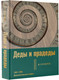 Миниатюра изображения товара Книга АСТ Деды и прадеды. 1547–1955. Документальные очерки,твердая обложка (Сухарев Алексей)