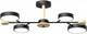 Миниатюра изображения товара Люстра LED4U L3213-670 BK