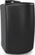 Миниатюра изображения товара Настенная акустика Tannoy AMS 6ICT LS