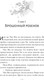 Миниатюра изображения товара Книга АСТ Баллада о нефритовой кости. Книга 4, твердая обложка (Цан Юэ)