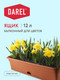 Миниатюра изображения товара Ящик для рассады Darel 3277418 (терракотовый)